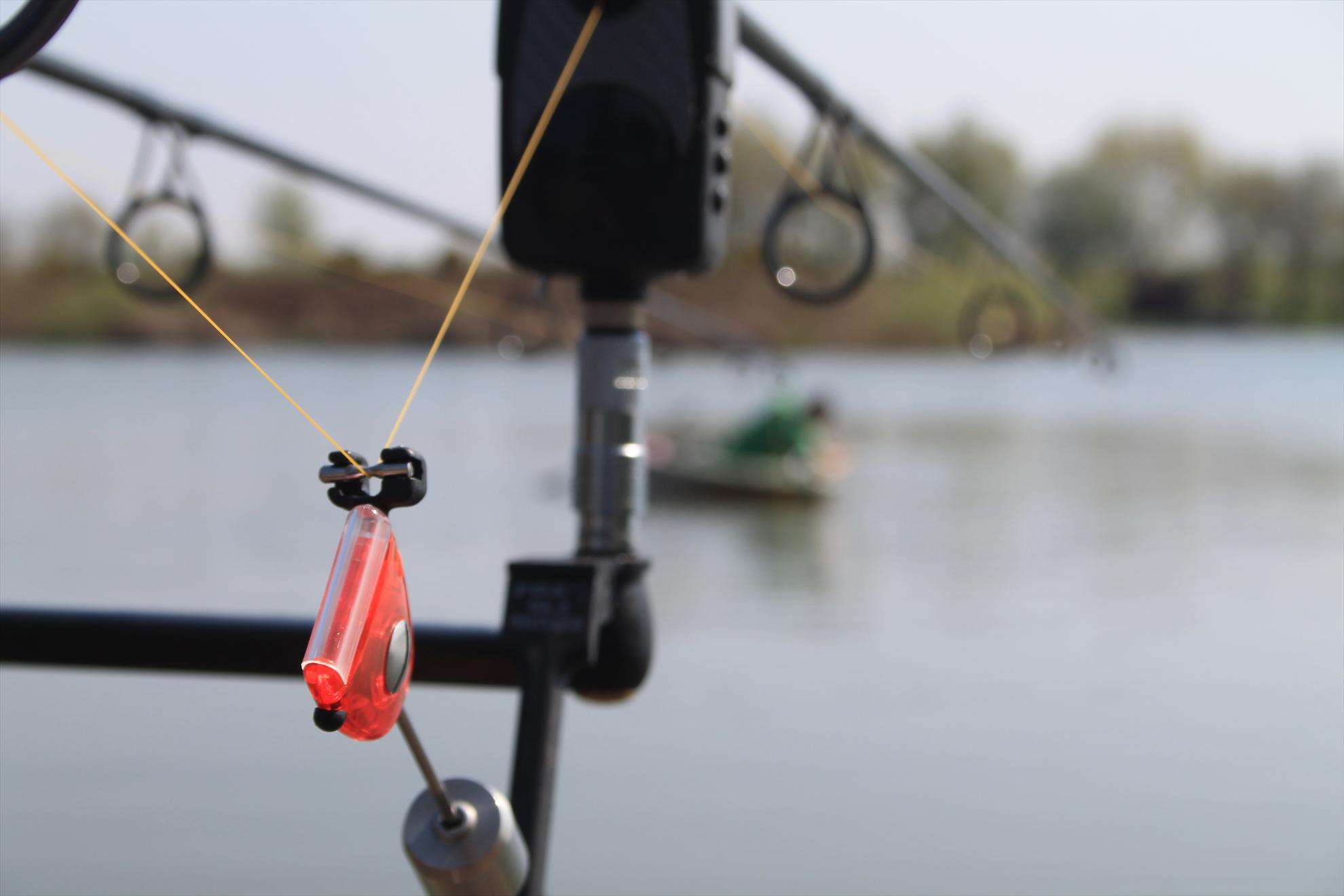 My new passion...3 - nagykallo-aprilie2013-116.JPG